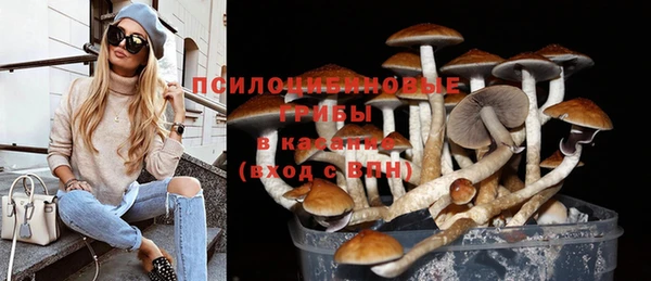 эйфоретик Новодвинск