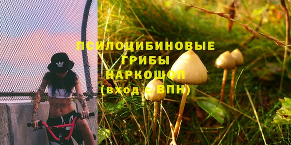 а пвп мука Нея