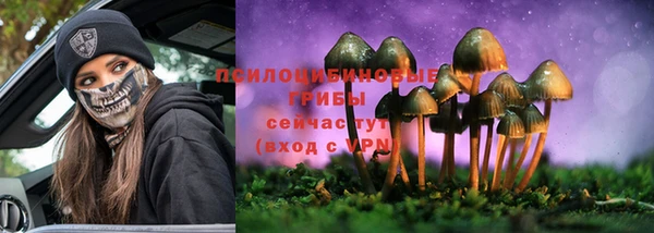 эйфоретик Новодвинск