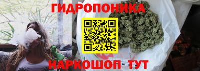 ешки Балаково