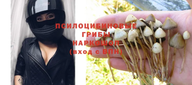 Псилоцибиновые грибы MAGIC MUSHROOMS  магазин    Полысаево 