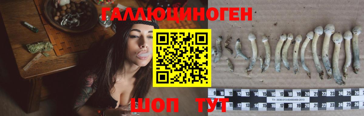 Псилоцибиновые грибы MAGIC MUSHROOMS Полысаево